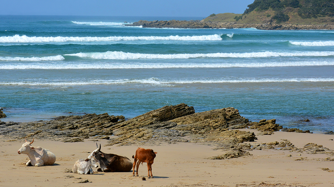 Swell Eco Lodge 2 of 19