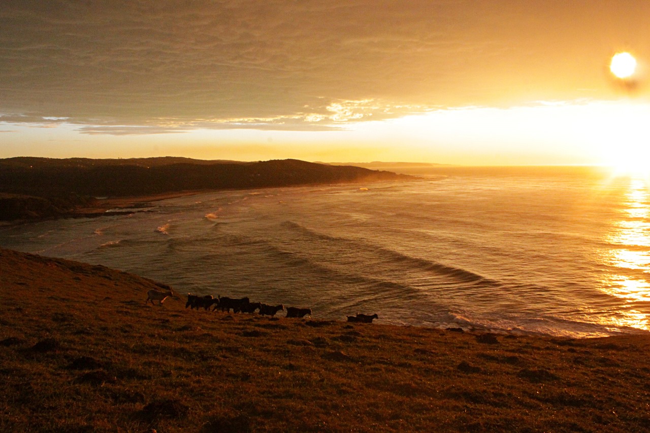 Swell Eco Lodge 1 of 19