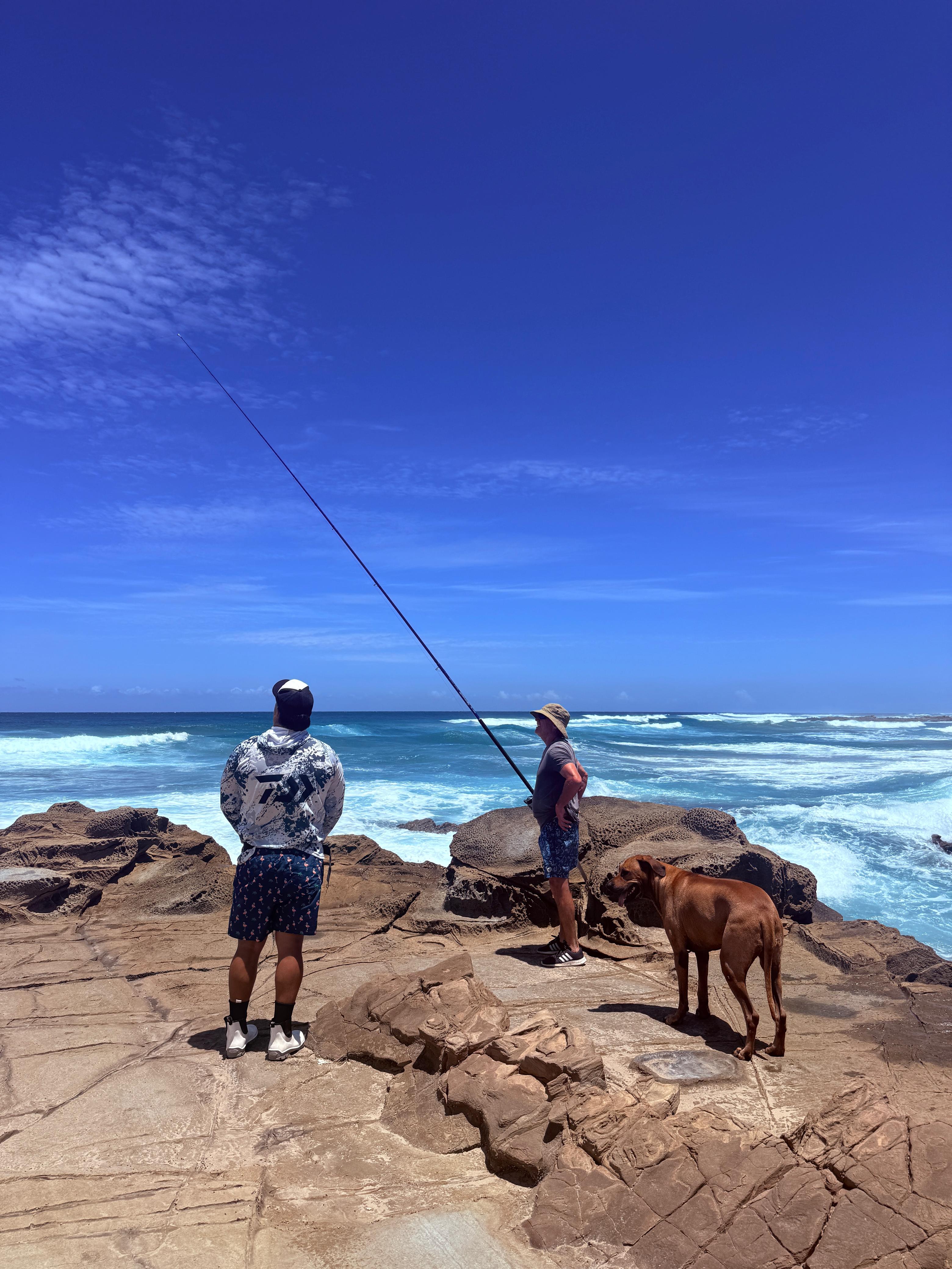 Swell Eco Lodge 14 of 19