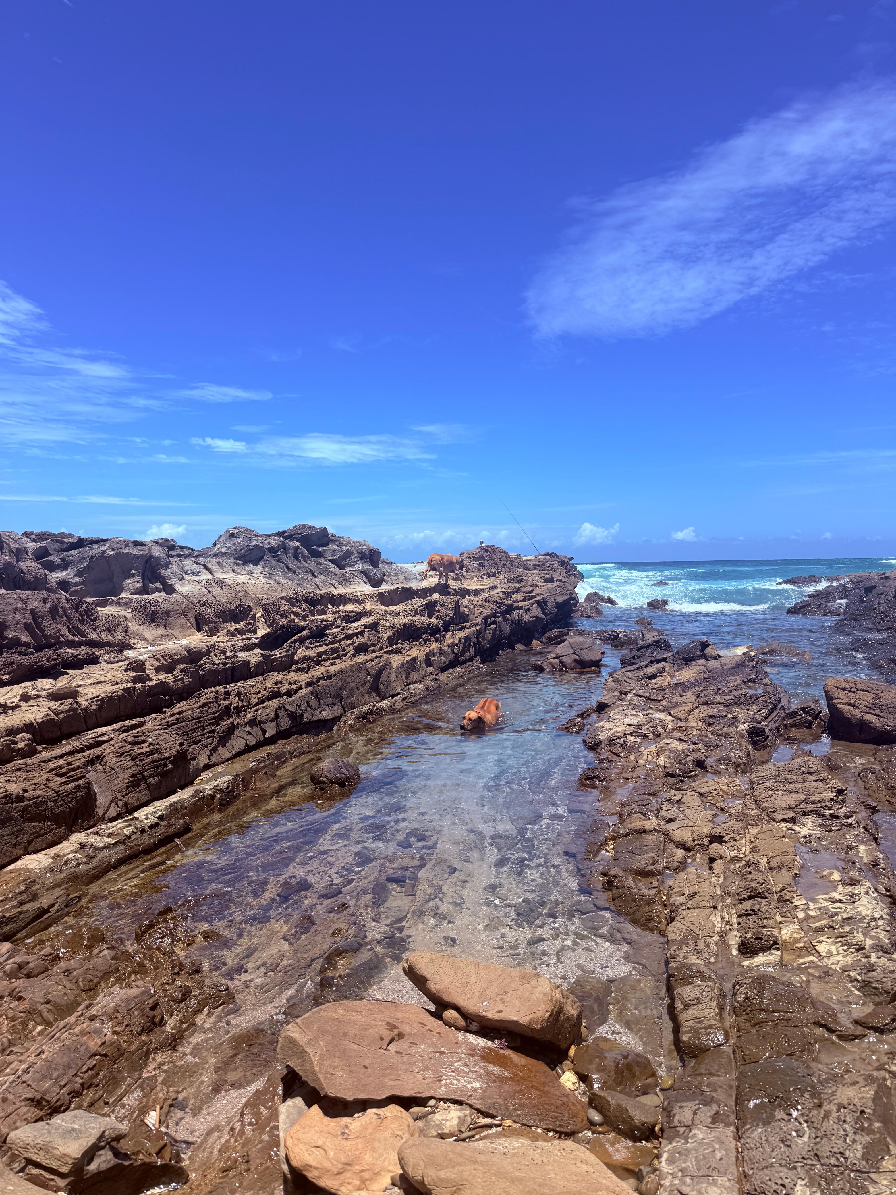 Swell Eco Lodge 15 of 19